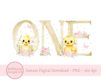 One Duck PNG, Duck 1st Birthday Sublimation Design, Rubber Ducky Birthday Party Decor, Yellow Duck Party, Ducks, Instant Digital Download