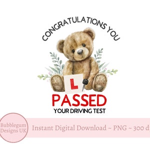 Félicitations, vous avez réussi votre examen de conduite, conception de sublimation d'ours en peluche, PNG, carte de conducteur d'apprenant d'ours en peluche, téléchargement numérique instantané