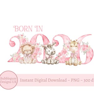 以下が含まれることがあります： ピンクの水彩文字で「BORN IN 2026」と書かれたデジタルイラスト。数字は花の装飾で飾られ、それぞれピンクのリボンをつけたライオン、シマウマ、キリンが描かれています。