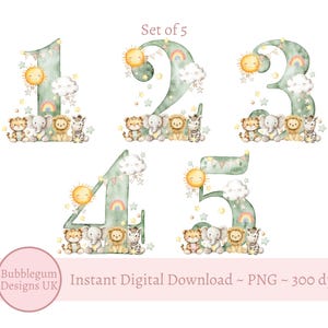 Ensemble de motifs en sublimation vert Safari Animal âgés de 1 à 5 ans, PNG, sublimation Safari, motifs de t-shirt anniversaire garçon, téléchargement immédiat