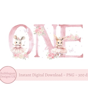 1. Geburtstag Hasen Pink One PNG, Hase Sublimationsdesign, Mädchen ersten Geburtstag Party Dekor, Geburtstag Hasen, sofortiger digitaler Download