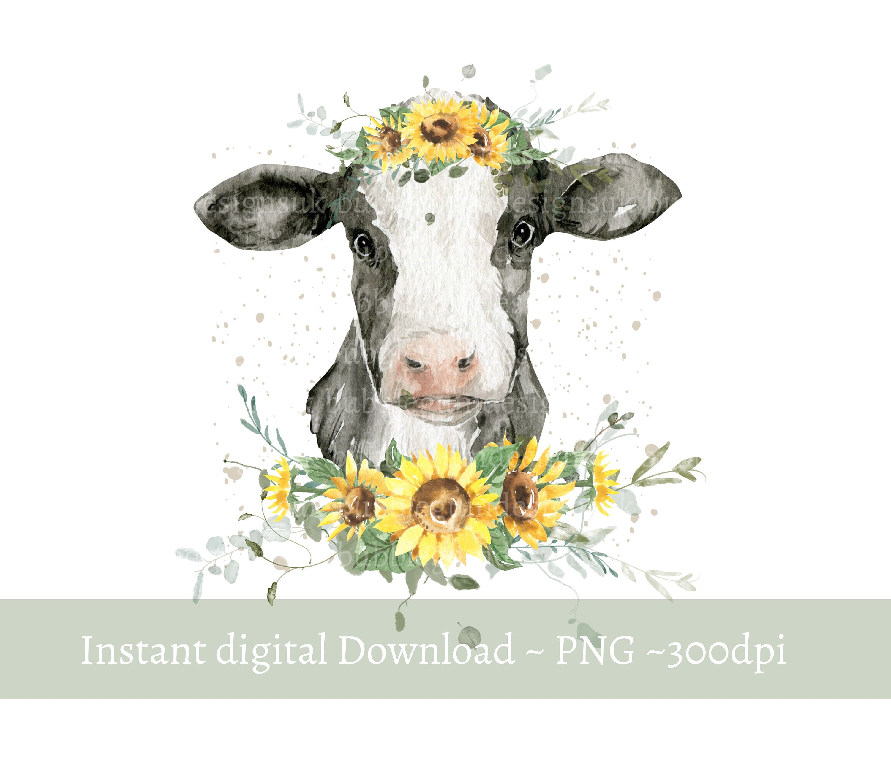 Sunflower Cow PNG Dairy Cow Clipart Cow Sublimation Design Etsy Denmark