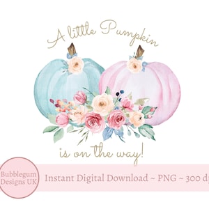Pastel Pumpkins, A Little Pumpkin Is On The Way! Fall Baby Shower PNG, Pumpkins Clipart, Sublimation Design, Gender Reveal,Digital Download,