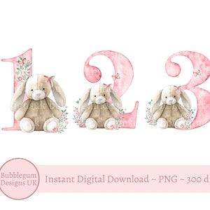 Ensemble d'oreilles tombantes lapin roses pour les 1 à 3 ans, PNG, lapin, design sublimation, décoration de fête d'anniversaire, motifs lapin rose, téléchargement immédiat