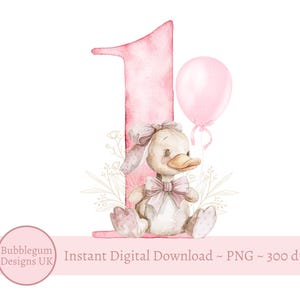 1er anniversaire de bébé canard PNG, sublimation de canard mignon, première carte d'anniversaire, T-shirt canard pour filles, fête des canards, téléchargement immédiat,