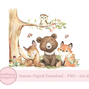 Animaux de la forêt mignons PNG, sublimation animaux de la forêt, toile de fond, conception de baby shower, décoration de premier anniversaire, téléchargement immédiat