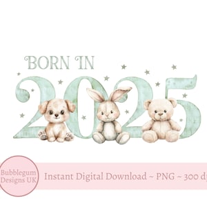 Nato nel 2025 Sage Green Plush Teddy Numbers PNG, Design per sublimazione per neonati, Nuovo bambino, Baby Shower, Clipart 2025, Download digitale istantaneo