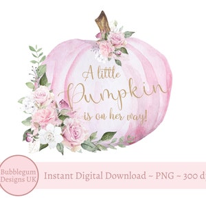 Pastel Pink Floral Pumpkin, A Little Pumpkin Is On Her Way! Fall Baby Shower PNG, Pumpkins Clipart, Sublimation Design, Digital Download,