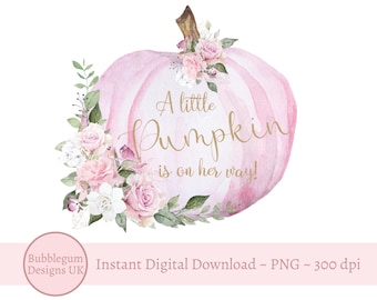 May include: A pink watercolour pumpkin with floral embellishments and the text "A little Pumpkin is on her way!"