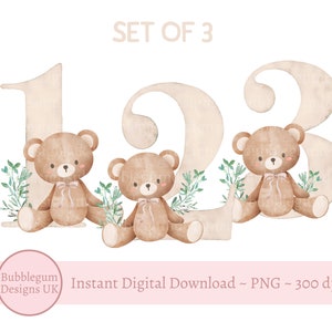 Teddybeer beige nummers bundel leeftijd 1-3 PNG, verjaardag beer sublimatie ontwerpen, teddybeer clipart, beige beer, instant digitale download