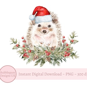 Hérisson de Noël en bonnet de Noel PNG, aquarelle hérisson avec feuillage hivernal, sublimation, image de carte, téléchargement numérique instantané,
