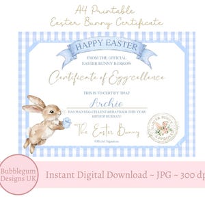 May include: A4 printable Easter Bunny Certificate with a blue gingham border. The certificate reads "Happy Easter" and "Certificate of Egg-cellence". A watercolor bunny holds an egg. Text includes "Archie" and "The Easter Bunny".