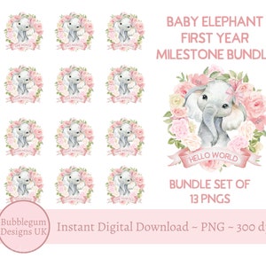 Bundle étape importante de bébé, bébé éléphant rose et couronne de roses crème, PNG, conception de sublimation d'éléphant, 1er anniversaire, téléchargement numérique instantané