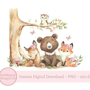 Animales del bosque PNG, Diseño de sublimación de animales del bosque, Fondo, Diseño de baby shower, Decoración para primer cumpleaños, Descarga digital instantánea