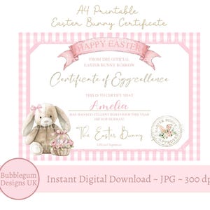 May include: A printable Easter Bunny Certificate with a pink gingham border and a watercolor bunny illustration. The certificate includes the text "Happy Easter" and "Certificate of Egg-cellence". The certificate is an instant digital download.