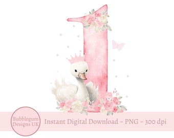 1st Birthday Swan Pink One PNG, Swans Sublimation Design, Girls First Birthday Party Decor, Birthday Swans, Instant Digital Download