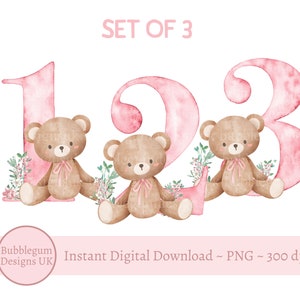 Teddybär Rosa Zahlen Bundle Alter 1-3 PNG, Geburtstag Bär Sublimationsdesigns, Rosa Teddybär Clipart, Beige Bär, sofortiger digitaler Download