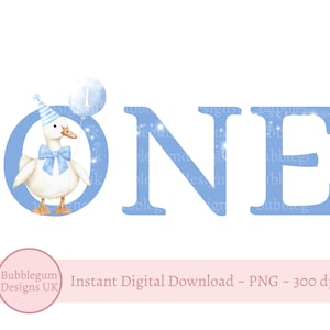 Blue One Silly Goose PNG, Blue 1e verjaardag gans sublimatieontwerp, Silly Goose clipart, trending Silly Goose, instant digitale download