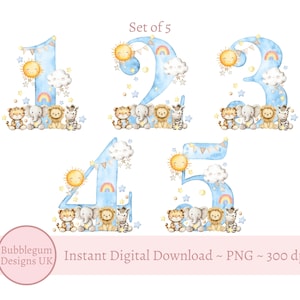 Ensemble de motifs en sublimation bleu Safari Animal âgés de 1 à 5 ans, PNG, sublimation Safari, motifs de t-shirt anniversaire garçon, téléchargement immédiat