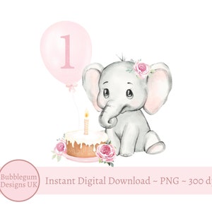 Baby Elefant 1. Geburtstag PNG, Aquarell Elefant Geburtstagskuchen, Sublimationsdesign, erste Geburtstagskarte Bild, sofortiger digitaler Download,