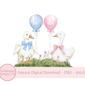 Pink & Blue Silly Goose Gender Reveal, png PNGEgg, wat wordt de baby? Sublimatieafbeelding, roze blauwe ganzen, directe digitale download