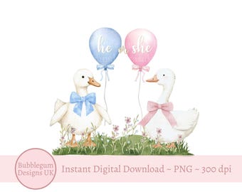 Pink & Blue Silly Goose Gender Reveal PNG, He or She What Will Baby Be? Sublimation Graphic, Pink Blue Geese, Instant Digital Download