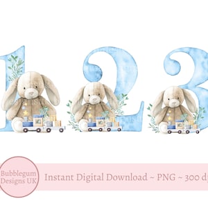 Hangoor konijn blauwe nummers bundel leeftijden 1-3, png, beer sublimatie ontwerp, decor verjaardagsfeestje, blauwe teddy ontwerp, instant digitale download