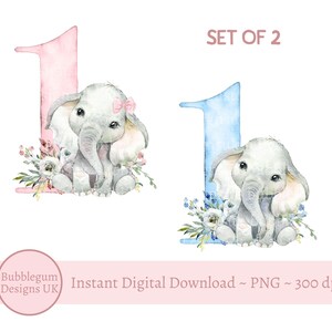 Rosa & Blau Baby Elefant 1. Geburtstag PNG, Blumen Aquarell Elefant Sublimationsdesign, 1. Geburtstagskarte, sofortiger digitaler Download