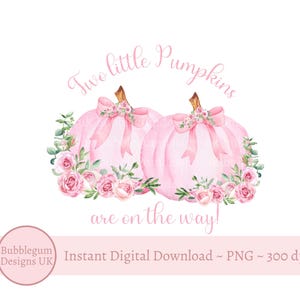 Abóboras florais rosa pastel, PNG, Duas pequenas abóboras estão a caminho! Design de sublimação para chá de bebê de meninas gêmeas, download digital instantâneo