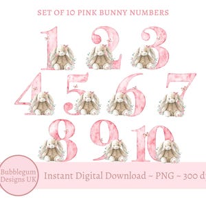 Lop Ohr Häschen Rosa Zahlen Bündel im Alter von 1-10, PNG, Häschen Sublimationsdesign, Geburtstagsparty Dekor, süßes Rosa Häschen, sofortiger digitaler Download