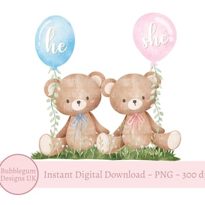 Roze en blauwe teddybeer, png, geslacht bekend: wat wordt de baby? Sublimatieafbeelding, roze blauwe beren, instant digitale download