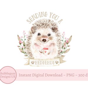 Je vous envoie un hérisson PNG, hérisson mignon en sublimation, conception de carte d'anniversaire, une pensée pour vous, guérissez bientôt, téléchargement numérique immédiat