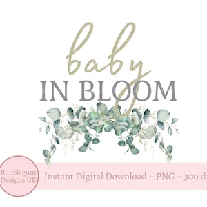 Baby In Bloom Eucalyptus PNG, Sublimation Design, Baby Shower, Pregnancy T Shirt, Baby Shower Welcome Sign, Instant Digital Download