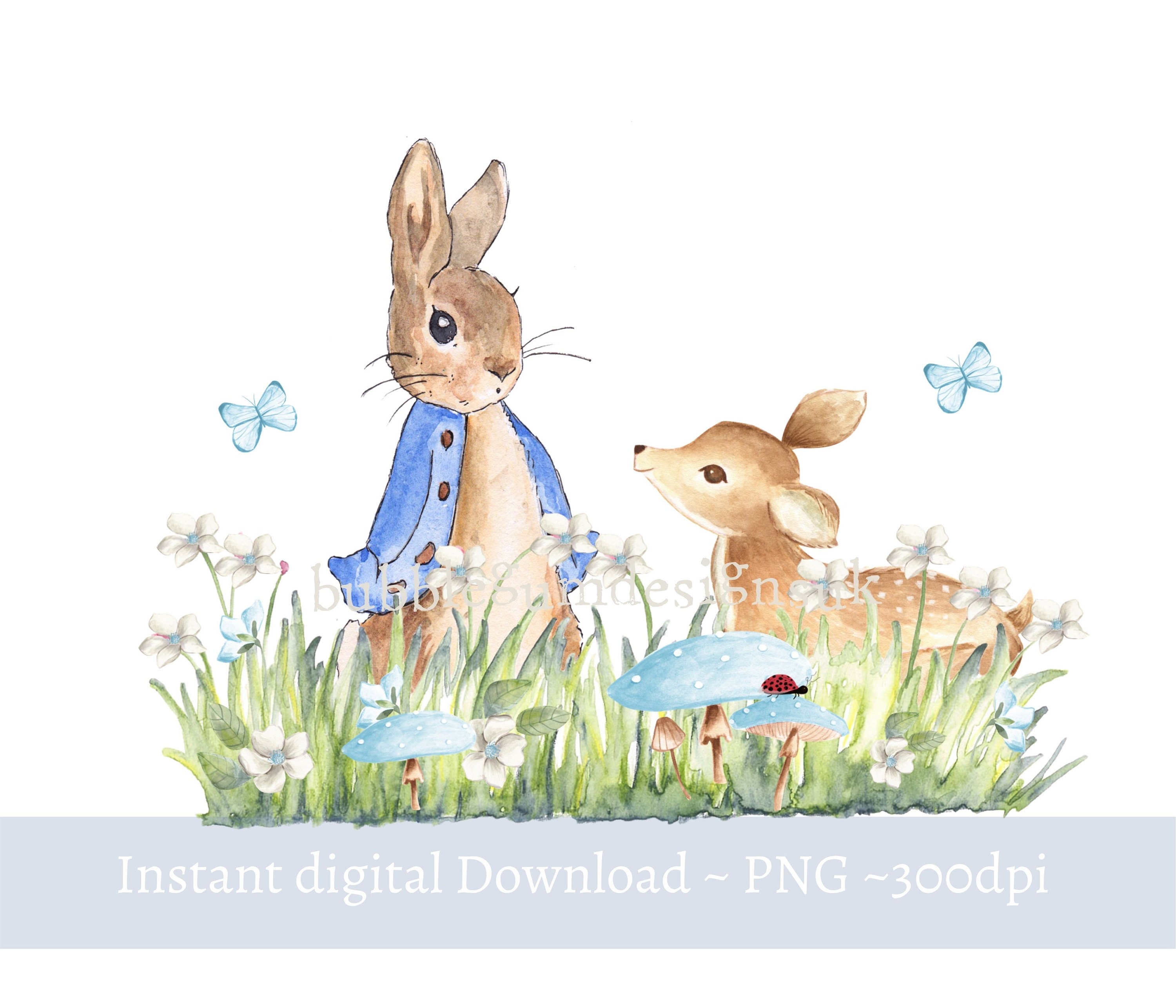 Peter Rabbit Printable Wall Art Digital Download Peter Rabbit Baby