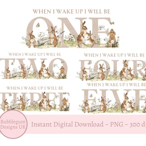 Bunnies bundel leeftijden 1-5 sublimatie ontwerpen, PNG, When I Wake Up I Will Be, Birthday Bunny pyjama, verjaardag meisjes, instant digitale download