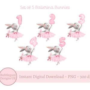 Pink Ballerina Bunny Birthday Numbers Bundle, PNG, Girls Birthday Clipart Bundle, Girls Birthday Card Design, Instant Digital Download