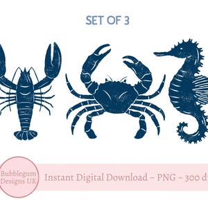 Blauwe set van 3 - kreeft, krab, zeepaardje PNG, zomer T-shirtontwerp, kinder zomershirt sublimatieontwerp, langoesten, instant digitale download