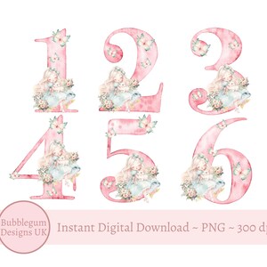 Rosa Alice & weißes Kaninchen Alter 1-6 Bundle, PNG, Alice Sublimationsdesign, Geburtstagsparty Dekor, Wunderland-Party, sofortiger digitaler Download