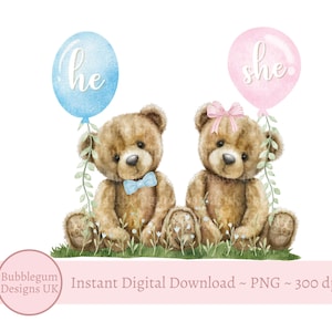 Roze en blauwe teddybeer, png, geslacht bekend: wat wordt de baby? Sublimatieafbeelding, roze blauwe beren, instant digitale download