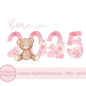 Geboren in 2025 teddybeer roze cijfers PNG, pasgeboren sublimatieontwerp, nieuwe baby, babyshower, 2025 jaar clipart, instant digitale download