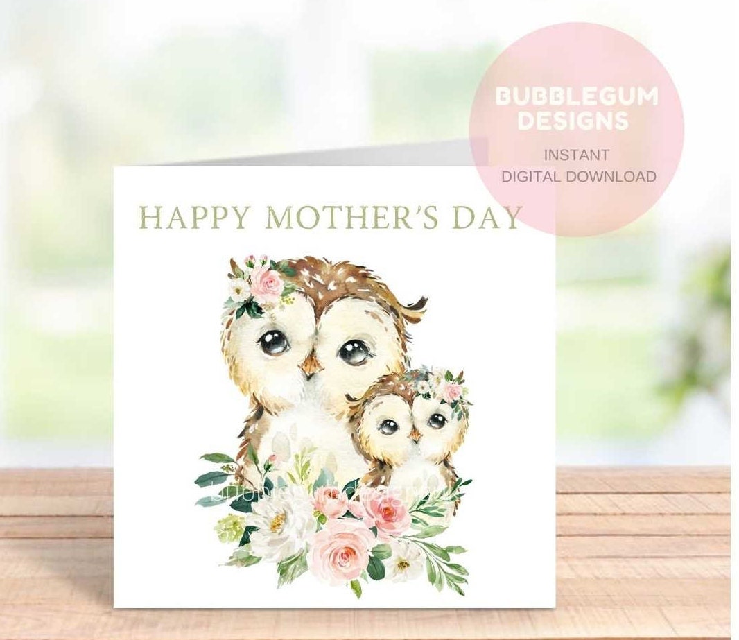 Búhos de madre y bebé, diseño floral rosa PNG, diseño de sublimación de búho,  diseño de tarjeta de cumpleaños de búho, día de la madre, mamá y bebé,  descarga digital instantánea, -, image size:1066x923