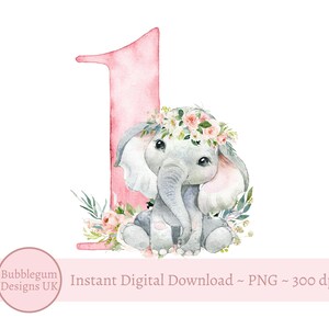 Babyolifant 1e verjaardag PNG, roze bloemen aquarel olifant sublimatie ontwerp, afbeelding eerste verjaardagskaart, instant digitale download