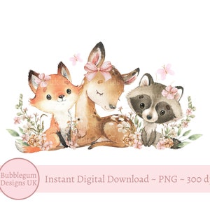 Animales y flores silvestres del bosque, PNG, gráfico de sublimación para baby shower, recién nacida, ciervo bebé, zorro, mapache, descarga digital instantánea