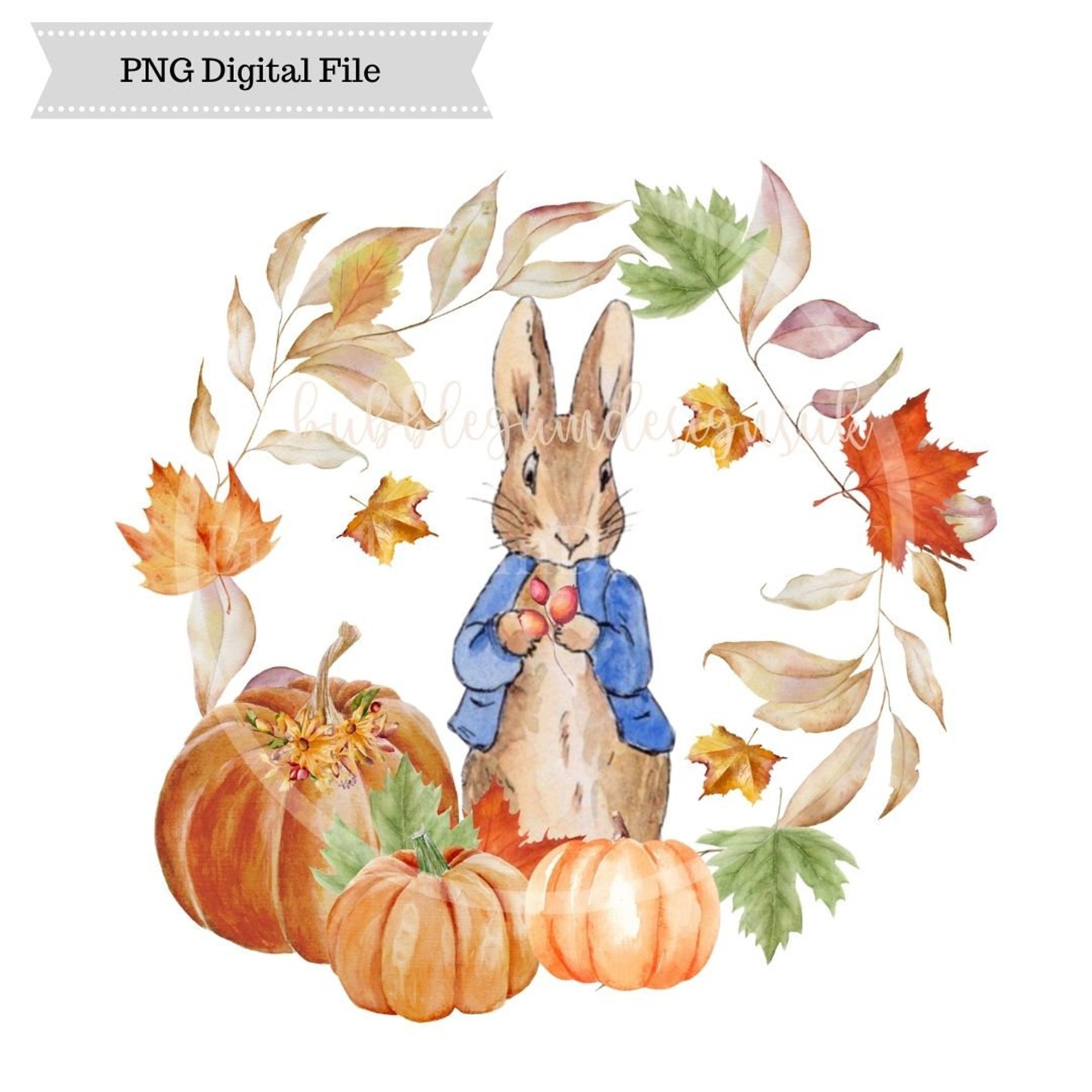 peter-rabbit-pumpkin-wreath-design-autumn-fall-leaves-etsy-uk