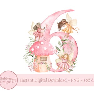 Rosa Fee-Toadstool Nummer 6 PNG, Feen Sublimationsdesign, 6. Fee-Geburtstags-Party Dekor, sechste Fee Party, sofortiger digitaler Download