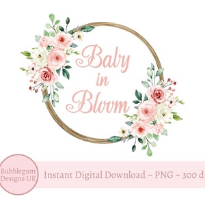 Baby in Blüte rosa Blumenkranz PNG, Sublimationsdesign, Babyparty, Es ist ein Mädchen, Babyparty Willkommensschild, sofortiger digitaler Download