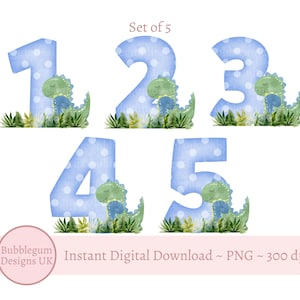 Bleu anniversaire dinosaure 1-5 ans Bundle Sublimation Designs, PNG, Sublimation de dinosaure, dessins de tee d'anniversaire garçon, téléchargement immédiat