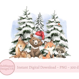 Christmas Forest Animals PNG, Woodland Animals Sublimation Design, Baby Shower, New Baby, Instant Digital Download