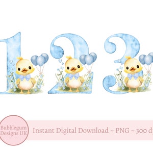 Ente & blaue Ballons Alter 1 2 3 Bundle, PNG, Ente Sublimationsdesign, Geburtstagsparty Dekor, gelbe Entenparty, sofortiger digitaler Download