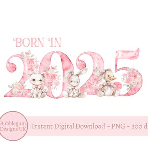 Né en 2025 roses chiffres PNG, design en sublimation nouveau-né, nouveau-né, baby shower, clipart année 2025, téléchargement immédiat